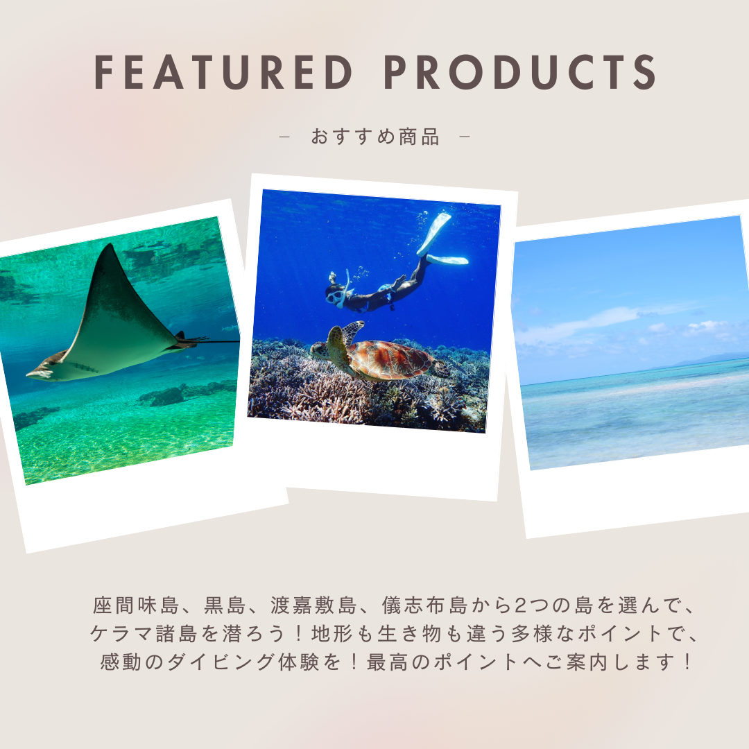 リーファーズ